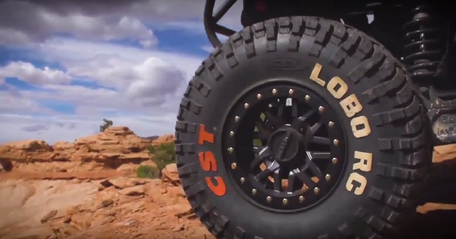 lobo rc buggy